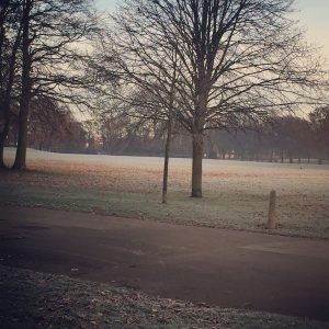 East Park Hull in the frost